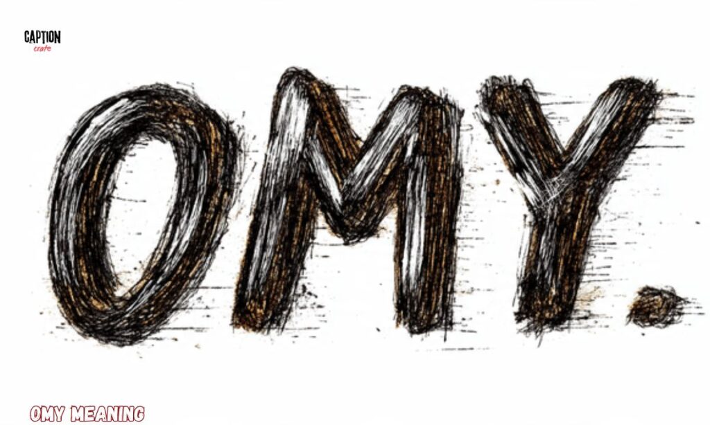 _OMY Meaning What It Stands for in Chat and Text